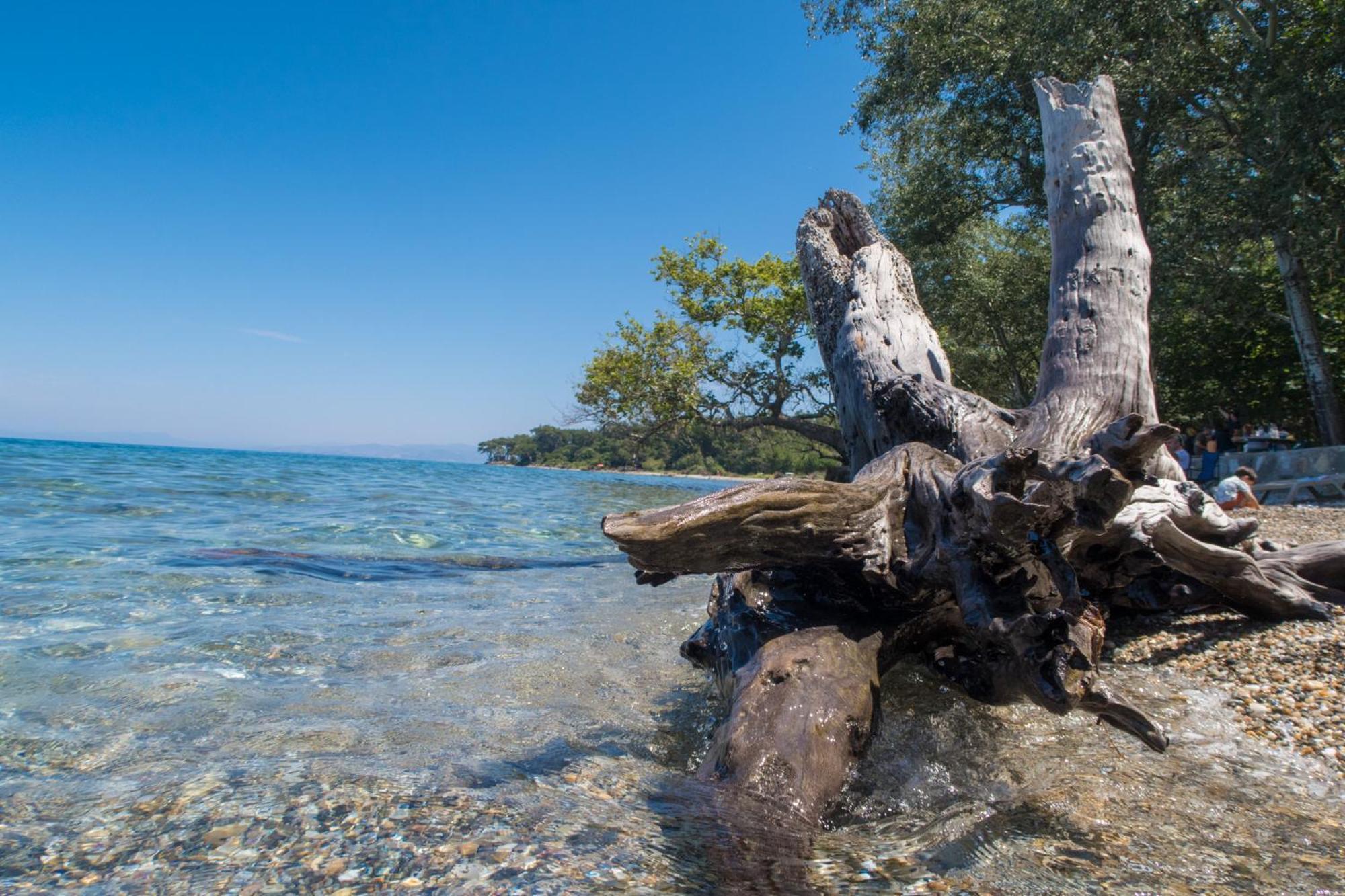 Ecer Pansiyon Kusadasi Bagian luar foto